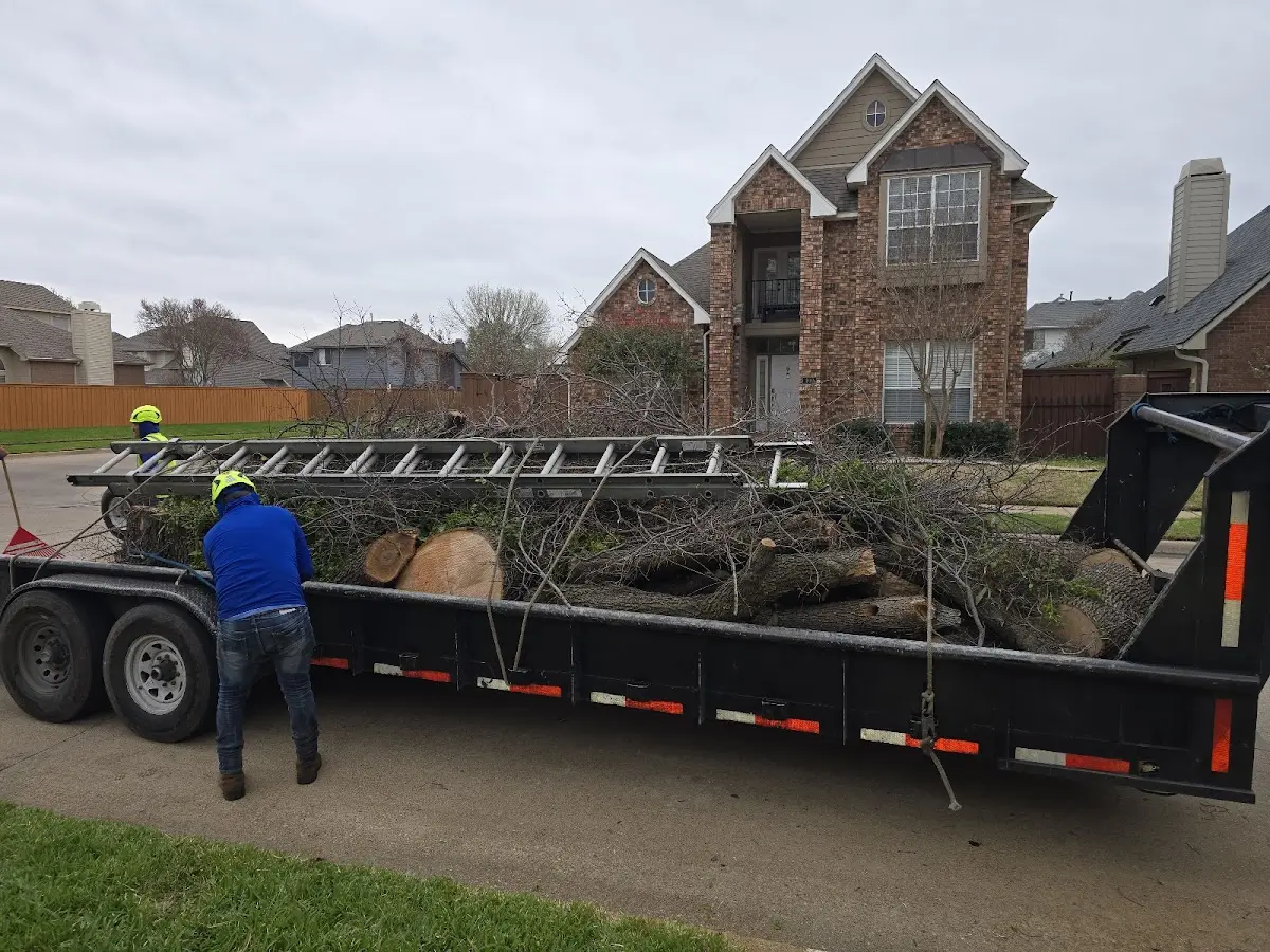 Expert Lot Clearing with proper safety equipment in Jefferson